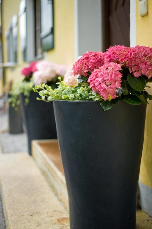 Comteamhotel Gmund am Tegernsee Bagian luar foto